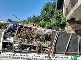 Demolition Debris Removal in Palmetto Estates, FL